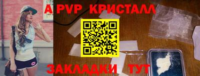 стаф Сланцы