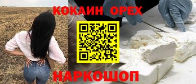 стаф Сланцы