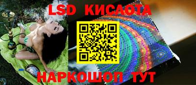 стаф Сланцы
