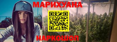 стаф Сланцы