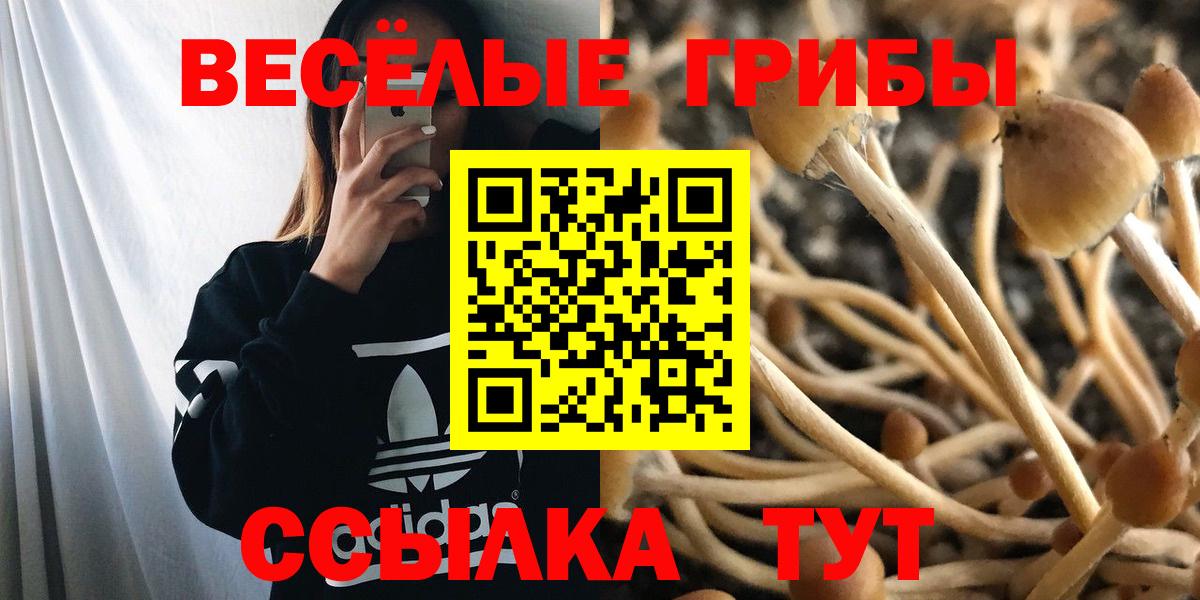 наркошоп  Псилоцибиновые грибы мухоморы  Вход с VPN  Тавда 